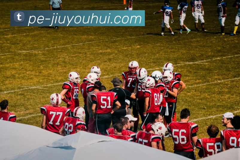 九游会J9官网发展历程